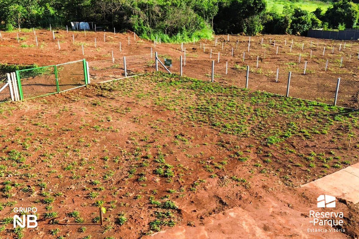 grupo nb sustentabilidade